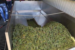 /Gallery/Events/ChateauKefraya/Pic 6.jpg